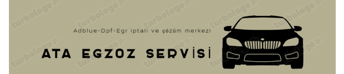 ATA EGZOZ SEEVİSİ 