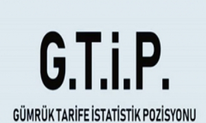 Gtip, Gümrük Tarife İstatistik Pozisyonu