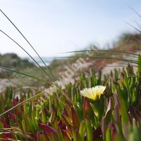 TR OTOPARK, Otopark Sistemleri