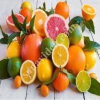 FRUIT - CITRUS CLASSIFICATION,