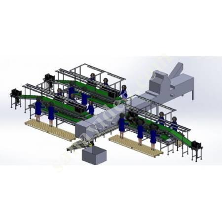 FRUIT - CITRUS CLASSIFICATION, Food Machinery