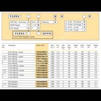 PARKER P3ZRA1CBPPN  2" PİLOT UYARILI REGÜLATÖR  *-17,5 BAR, Hidrolik Pnömatik Sistemler Aksam