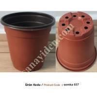 SEEDLING VIOLS AND POTS, Plastic