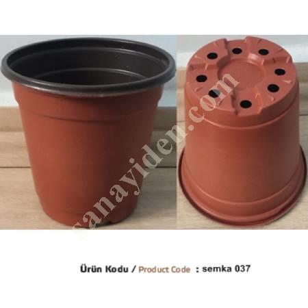 SEEDLING VIOLS AND POTS, Plastic