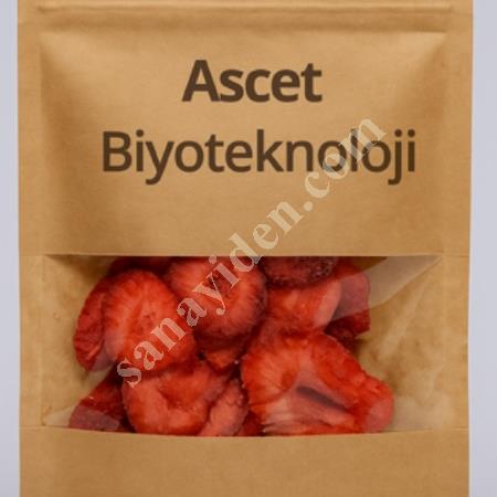 FULLY AUTOMATIC FREEZE DRYER (LYOPHILIZER), Food Industry