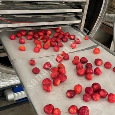 FULLY AUTOMATIC FREEZE DRYER (LYOPHILIZER), Food Industry