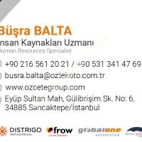 İŞ İLANI MEKANİK KAPORTA BOYA TEKNİSYENİ, Oto & Y. Parça
