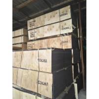 RUS PLYWOOD,