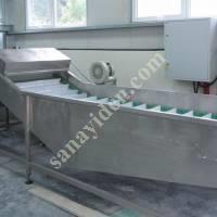 VEGETABLE FRUIT WASHING MACHINE,