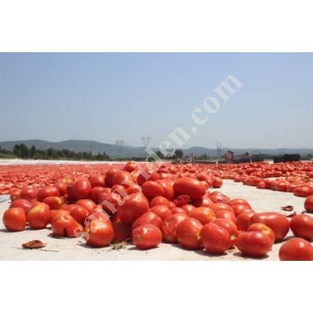 VEGETABLE FRUIT DRYING MACHINE, Food Industry