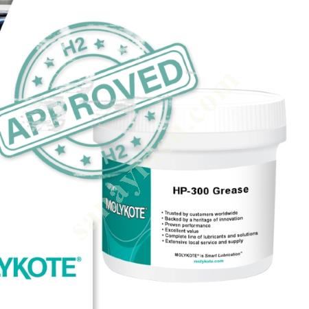 MOLYKOTE HP 300 P 37 P 74  BG 20 LONGTERM W2, Hidrolik Pnömatik