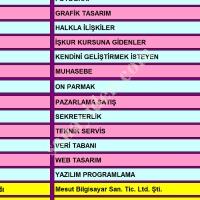 BAYAN STAJYER MESUT BİLGİSAYAR SAN TİC LTD ŞTİ NE,