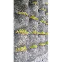 VERTICAL GARDEN,