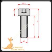 M5 IMBUS BOLT 16 MM,