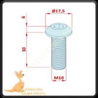 CHANNEL 10 FACE BOLT, Profile Fasteners