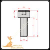 M6 IMBUS BOLT 16 MM,