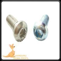 CHANNEL 10 FACE BOLT, Profile Fasteners