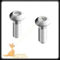 CHANNEL 10 FACE BOLT, Profile Fasteners