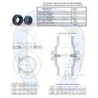 SWING CHECK VALVES (FLANGE COMPLETE),