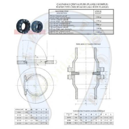 SWING CHECK VALVES (FLANGE COMPLETE), Valves